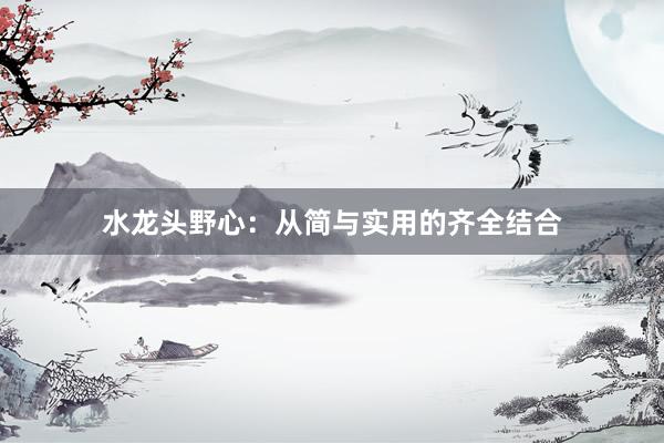 水龙头野心：从简与实用的齐全结合