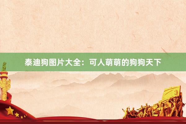 泰迪狗图片大全：可人萌萌的狗狗天下